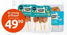 Joker Et utvalg grillspyd, NOK 49.9 tilbud