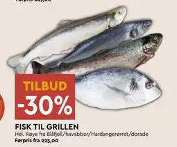 Coop Mega FISK TIL GRILLEN tilbud