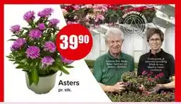 Spar Asters, NOK 39.9 tilbud
