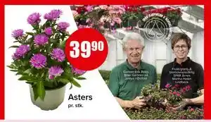 Spar Asters, NOK 39.9 tilbud