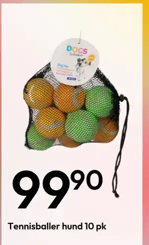 Gigaboks Tennisballer hund, NOK 99.9 tilbud