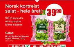 Spar Salat, NOK 39.9 tilbud