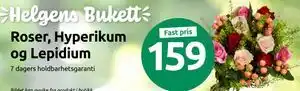 Joker Roser, Hyperikum og Lepidium, NOK 159 tilbud