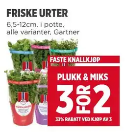 Meny FRISKE URTER tilbud