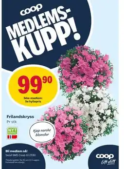 Matkroken Frilandskryss, Medlemspris tilbud