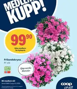 Coop Prix Frilandskryss, Medlemspris tilbud