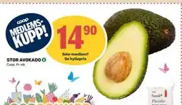 Matkroken STOR AVOKADO, Medlemspris tilbud