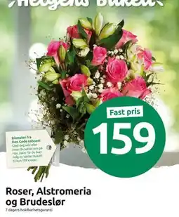 Joker Roser, Alstromeria og Brudeslør, NOK 159 tilbud