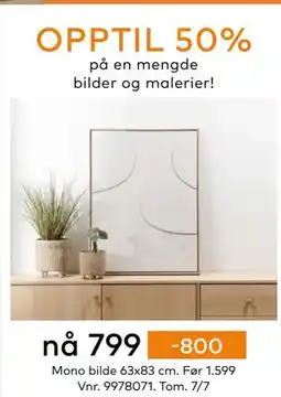 Skeidar Mono bilde, NOK 799 tilbud