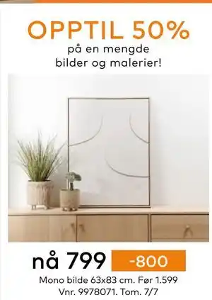 Skeidar Mono bilde, NOK 799 tilbud