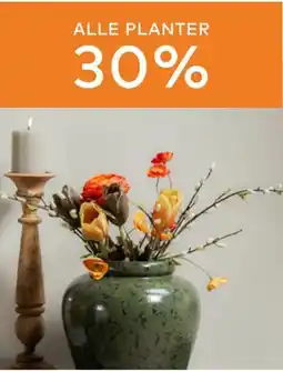 Skeidar ALLE PLANTER tilbud
