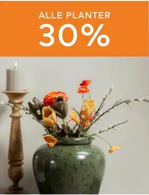 Skeidar ALLE PLANTER tilbud