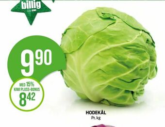 Kiwi Hodekål tilbud