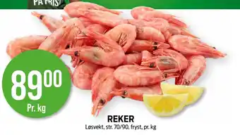 Kiwi REKER tilbud