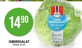 Kiwi ISBERGSALAT Gartner, pr. stk. tilbud