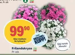 Coop Mega Frilandskryss, Medlemspris tilbud