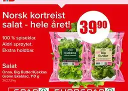 Spar Salat, NOK 39.9 tilbud