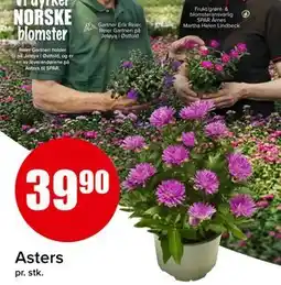 Spar Asters, NOK 39.9 tilbud