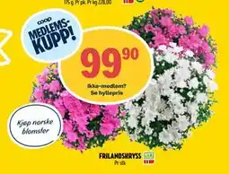 Coop Prix FRILANDSKRYSS, Medlemspris tilbud