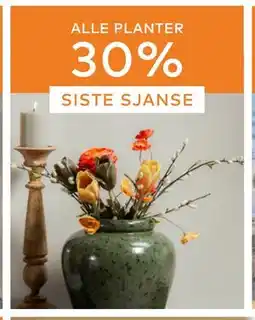 Skeidar ALLE PLANTER tilbud