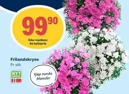Coop Marked Frilandskryss tilbud