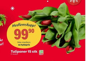 Coop Extra Tulipaner 15 stk tilbud