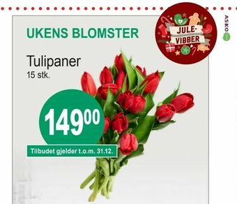 Joker Tulipaner tilbud