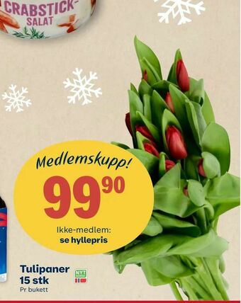 Matkroken Tulipaner 15 stk tilbud