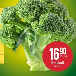 CC Mat Brokkoli Norsk tilbud