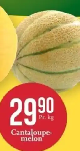 CC Mat Cantaloupe- melon tilbud