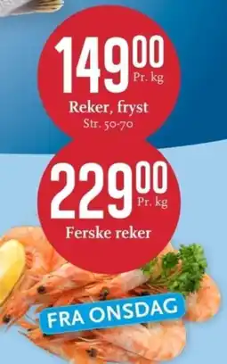 CC Mat Reker, fryst Str. 50-70 tilbud