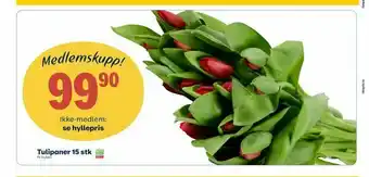 Coop Prix Tulipaner tilbud