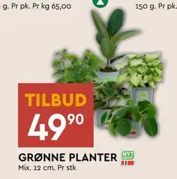 Coop Mega GRØNNE PLANTER, NOK 49.9 tilbud