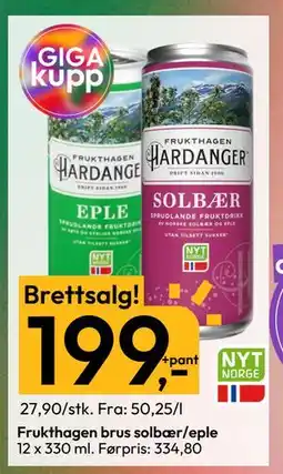 Gigaboks Frukthagen brus solbær/eple, NOK 199 tilbud