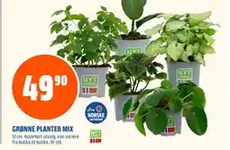 Coop Obs GRØNNE PLANTER MIX, NOK 49.9 tilbud