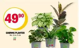 Coop Extra GRØNNE PLANTER, NOK 49.9 tilbud
