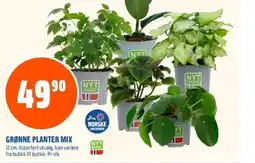Coop Obs Grønne planter mix tilbud