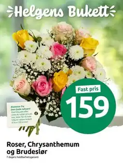 Joker Roser, Chrysanthemum og Brudeslør, NOK 159 tilbud
