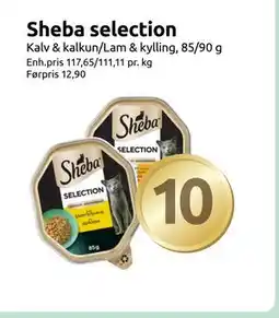 Joker Sheba selection, NOK 10 tilbud