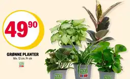 Coop Extra GRØNNE PLANTER tilbud