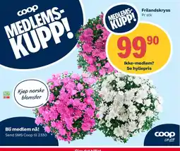 Coop Extra Frilandskryss tilbud
