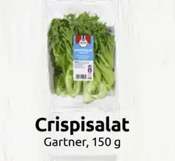 Joker Crispisalat tilbud
