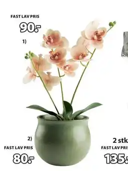 JYSK GUDJON kunstig plante, NOK 90 tilbud