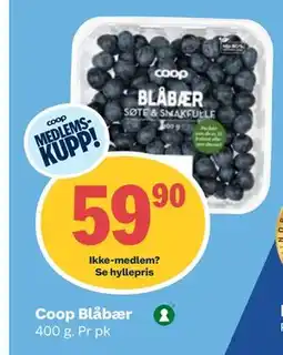 Coop Obs Coop Blåbær, Medlemspris tilbud