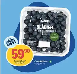 Coop Obs Coop Blåbær, Medlemspris tilbud