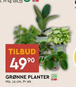 Coop Mega GRØNNE PLANTER, NOK 49.9 tilbud