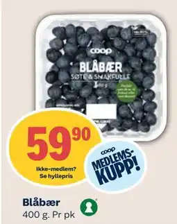 Coop Mega Blåbær, Medlemspris tilbud