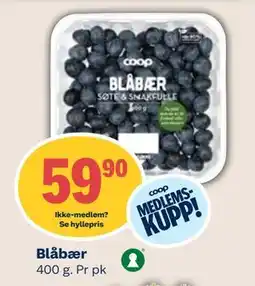Coop Mega Blåbær, Medlemspris tilbud