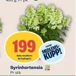 Coop Mega Syrinhortensia, Medlemspris tilbud