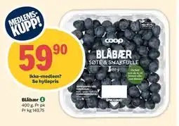 Coop Extra Blåbær, Medlemspris tilbud